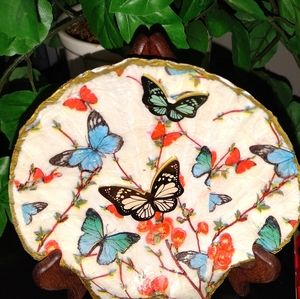 Decopodgued seashell